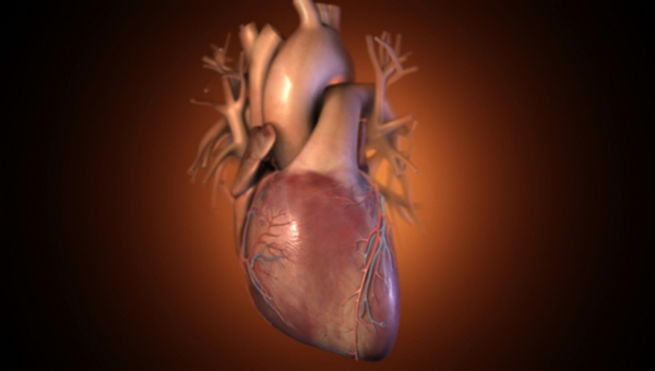 cardiac output