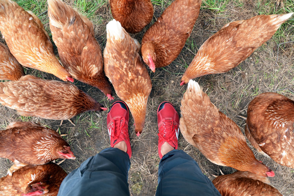 Crossfit On The Farm